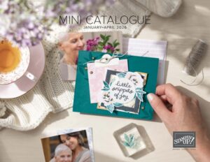 January Mini Catalogue